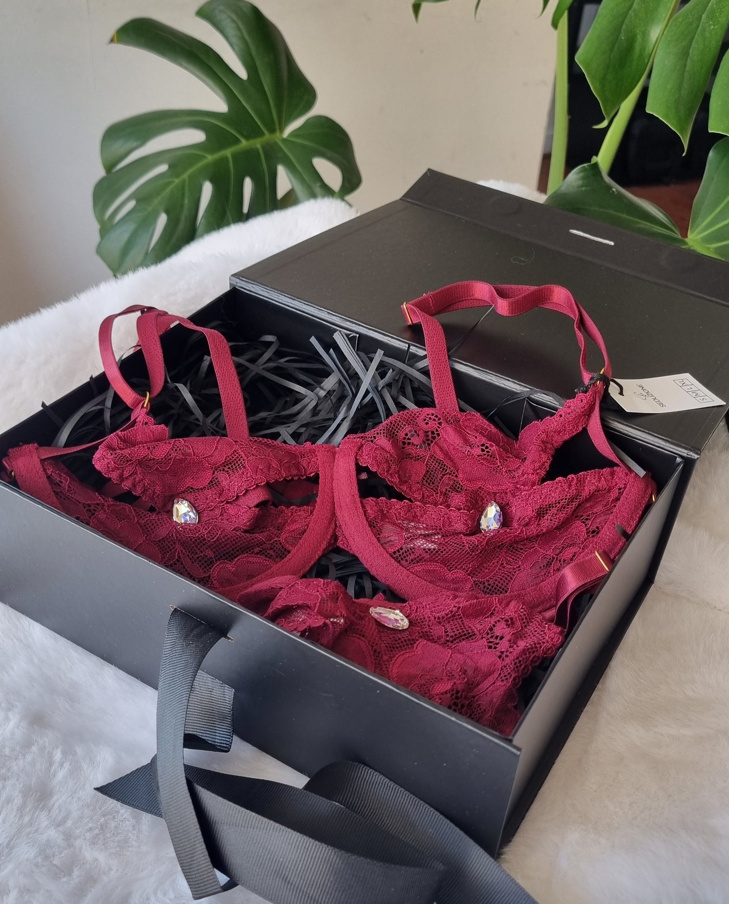 Caja de Regalo🎁
